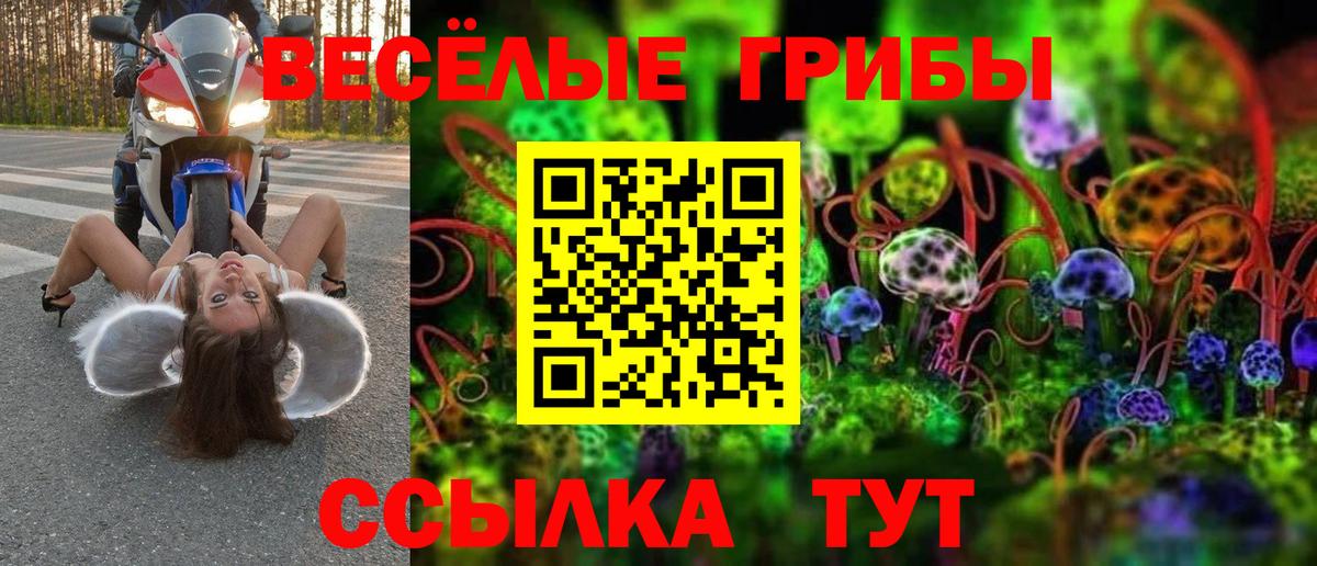 Галлюциногенные грибы Psilocybine cubensis  Вход с VPN  Соль-Илецк 